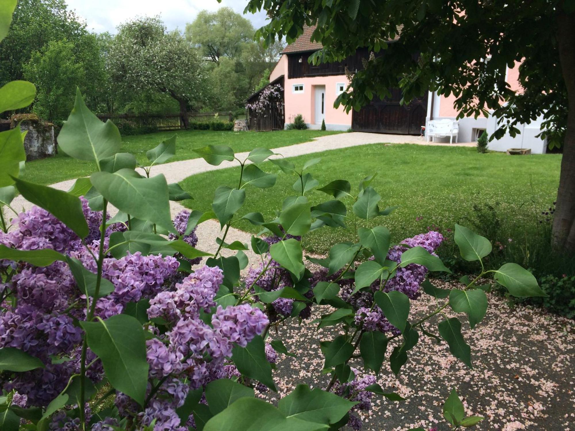 Landhaus Am Schloss Schnabelwaid Eksteriør bilde